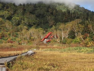 山歩き＊紅葉の栂池自然園　のんびりハイキング