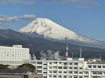 河津桜を見に行く旅　韮山反射炉と富士山