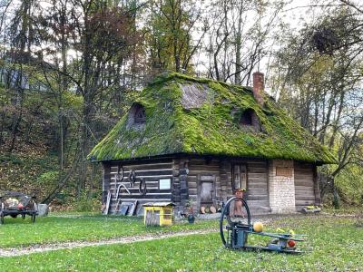 秋真っ盛りのポーランド南部(o^^o)ワクワクする町を歩いて来ましたぁ⑦ワルシャワ観光か近郊へ行くか迷うワクワクはどっち？