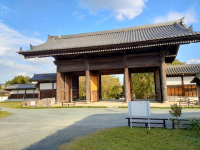 東府中にて：海鮮丼のよし丸＆東郷寺/はなの舞＆都立府中の森公園 2023/10/12、18