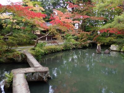 23年秋　にいがた庭園街道　8　清水園へ行きました。