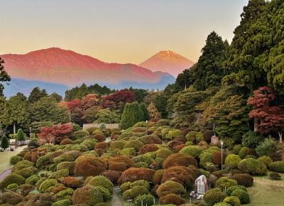 ススキ～バラ～紅葉色づき始めた秋の箱根へ☆4日目