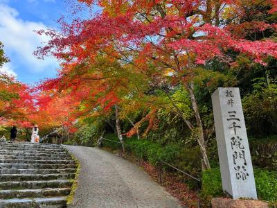 秋の京都旅　５日目　大原三千院　上賀茂神社