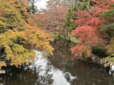 此処は何処の国？？？と思ってしまった湯布院温泉