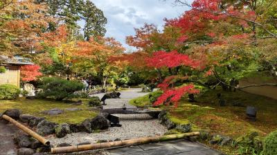 紅葉の松島 円通院・松庵