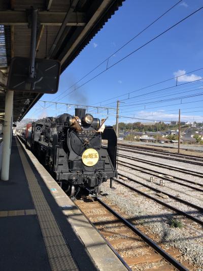 ちょい旅秩父 パレオエクスプレスにも乗ったよ