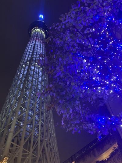 東京スカイツリーと浜田省吾さんライブと箱根 1