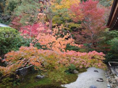 そうだ！京都に紅葉を観に行こう！