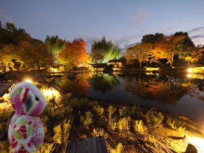 秋の夜散歩2023＠昭和記念公園～あわいのはざまに漂う夜～(2)