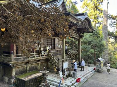 四国八十八ヶ所霊場 ホンキの歩き遍路 ＜徳島区切り打ち＞ 6日目 20番鶴林寺～22番平等寺