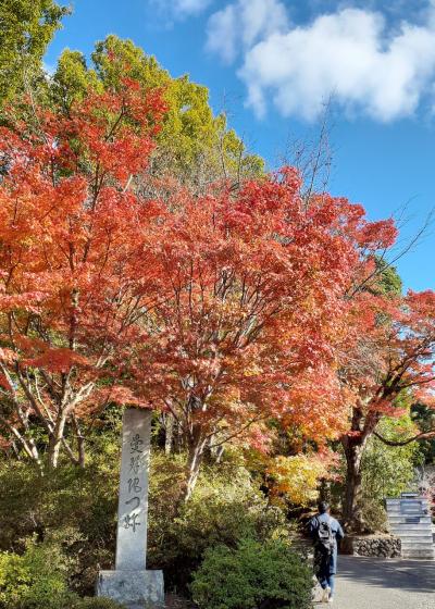 秋の京都ROKUで過ごす