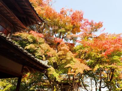 23年秋　にいがた庭園街道　11　関川村東桂苑からせきかわ歴史とみちの館、村上市の長楽寺へ行きました。