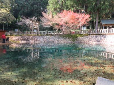 晩秋の秋吉台、別府弁天池　