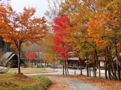 23年秋　山形ツーリング　白川湖周辺から恵隆寺立木観音・会津大鎮守心清水八幡神社へ行きました。