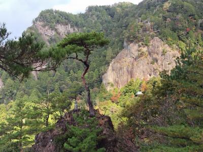 毎年恒例の紅葉を見に鳳来寺山へ