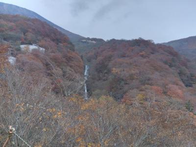 日光で紅葉&#127809;と食を楽しむ