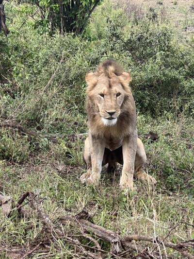 2023年10月 タンザニアサファリの旅 その⑥