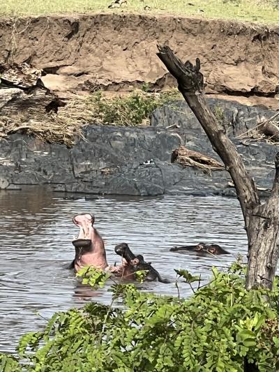 2023年10月 タンザニアサファリの旅 その⑦