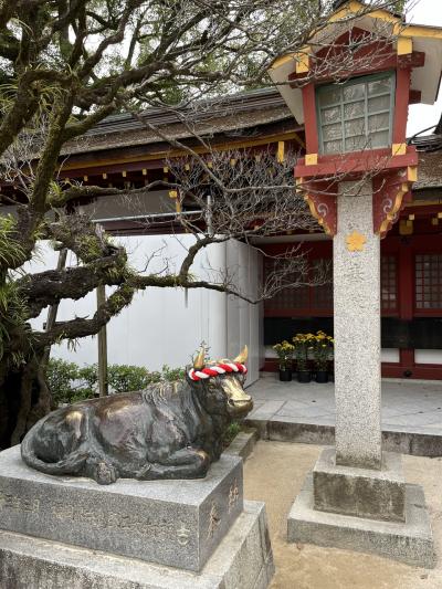 【2023年11月福岡・佐賀】福岡で食べ歩き～うどん・大宰府・梅が枝餅～