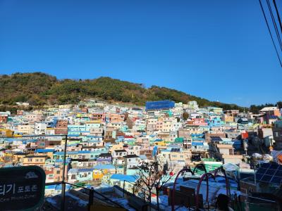 おばさん一人旅 in 釜山