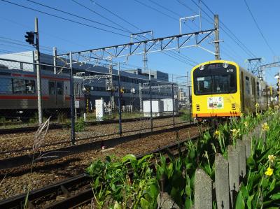 西日本ローカル線乗り鉄たび、その6（伊勢湾沿いに名古屋へ・狭軌鉄道にも乗ってみよう）