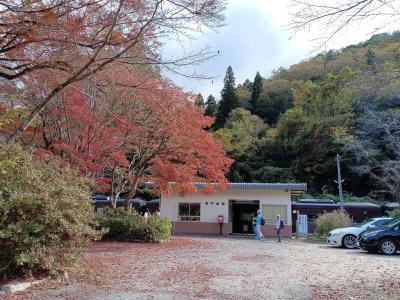 山口　ヤマグチ号と紅葉