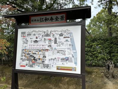 秋の京都（１/3）京都市内～仁和寺～高山寺～京都市内