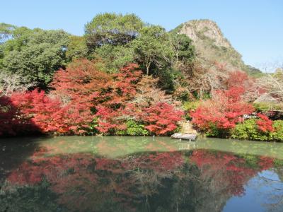 ２０２３年１１月　佐賀県　その２　武雄市　御船山楽園で紅葉を楽しみました。