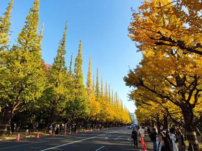 神宮外苑いちょう並木と開業直前 麻布台ヒルズ