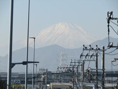 県道22号線から見える富士山