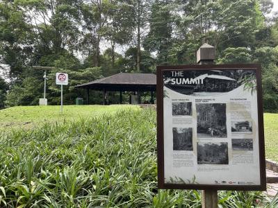 2023/11 シンガポール ブキティマハイキング2/2