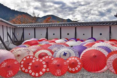 奥美濃屈指のもみじの名城・郡上八幡城の紅葉