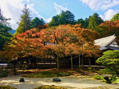 糸島・福岡の紅葉を見に気ままにぶらり旅