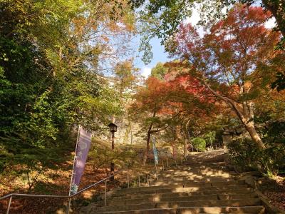 紅葉めぐる地元さるく