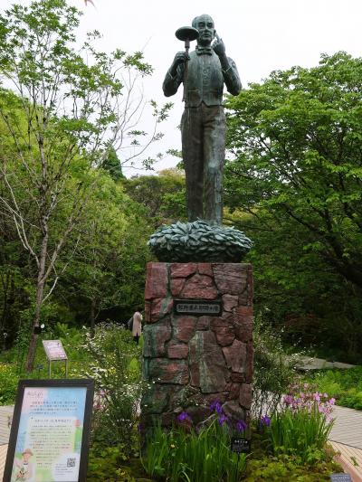 高知-3　高知県立牧野植物園b　牧野富太郎像あたり　☆カキツバタ・ヒトツバタゴ咲いて