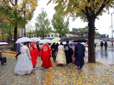 コロナ後初の海外はソウルで紅葉狩り♪３日間【３日目前編】国立古宮博物館