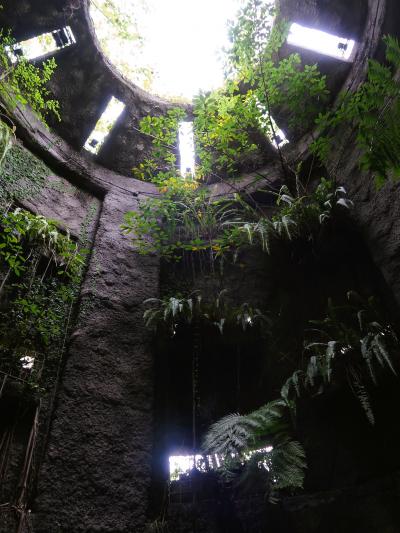 高知-4　高知県立牧野植物園c　熱帯温室あたり　☆バニラ・サガリバナ・オオオニバス