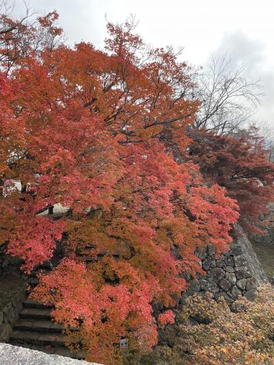 津山はもみじ祭り開催中　1泊2日ひとり旅