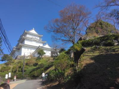 小田原城周辺と国府津山散歩