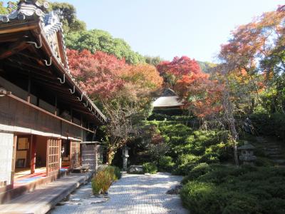 紅葉を訪ねて　２（金福寺・波切不動尊）