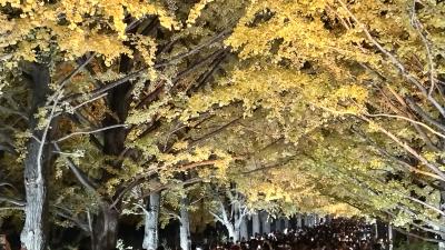 秋の夜散歩2023☆昭和記念公園