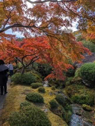 箱根～鎌倉～横浜の神奈川王道の旅