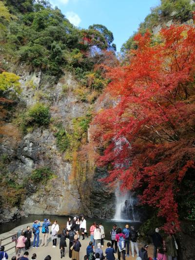 箕面　紅葉狩り