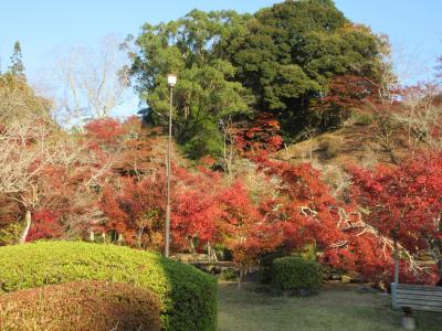 ２０２３年１１月　佐賀県　その１有田町・多久市・佐賀市　アワビと佐賀牛の食事。西渓公園見学