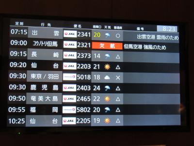 2023年11月海の京都でカニカニ大作戦　その１　突然のフライト欠航でたどり着けるのか？