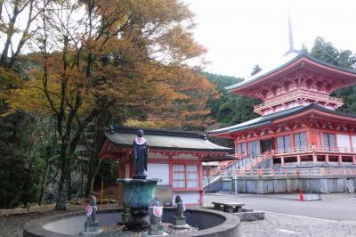 2023秋の京都　その１～紅葉狩りに行って霰に降られた比叡山