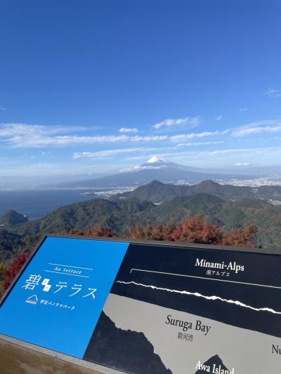 令和5年11月 伊豆愛犬旅行