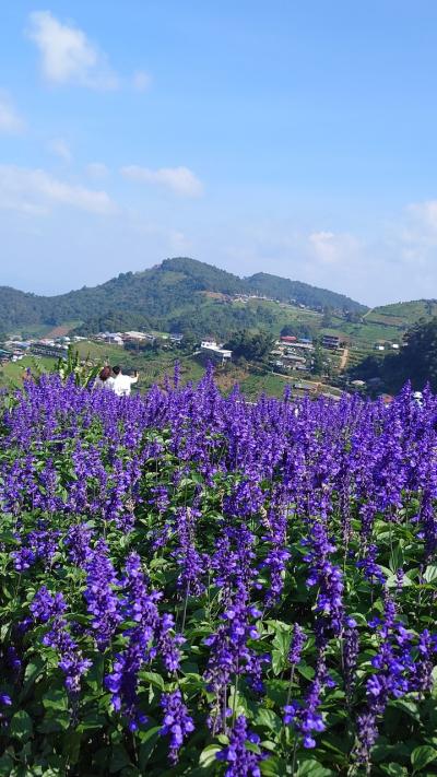 チェンマイに関する旅行記・ブログ(4ページ)【フォートラベル】|タイ|Chiangmai