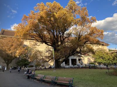 2023.10~11　東京アート散歩