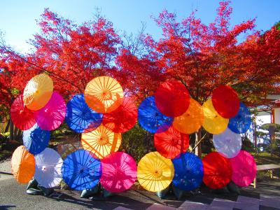 群馬・桐生へ～紅葉とわたらせ渓谷鐵道の旅①